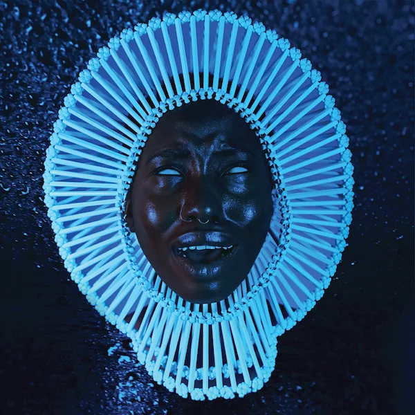 Awaken My Love Album art